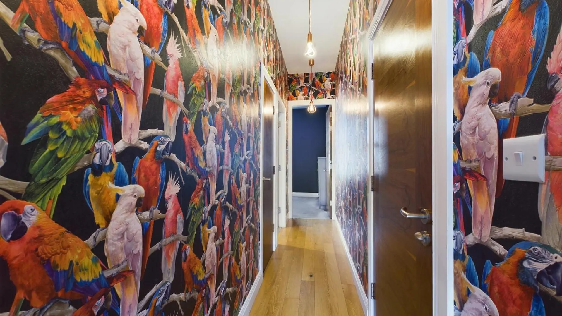 Fitzrovia Mansion Apartments In Belfast'S Cathedral Quarter